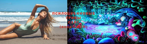 стафф Краснослободск