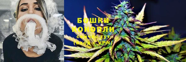 сатива Красноперекопск