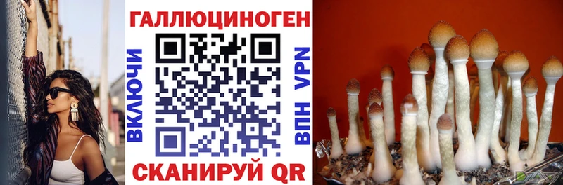 Псилоцибиновые грибы Magic Shrooms  Купить где  Партизанск 